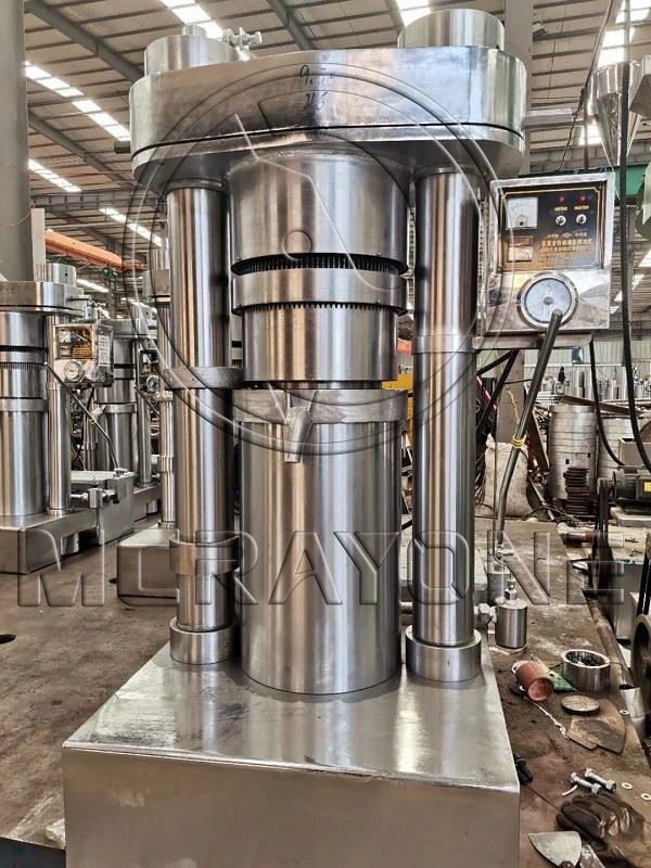 Hemp Seed Oil Extractor