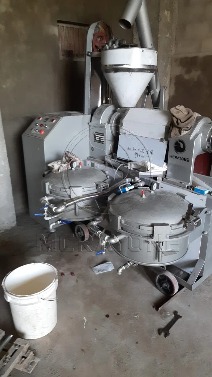 Perilla Seed Oil Pressing